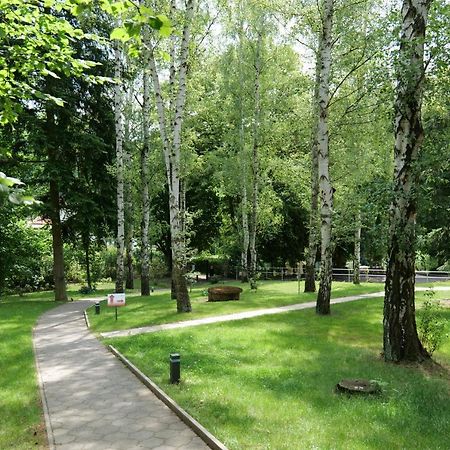 Penzion Harmony Javornik Ctyrkoly Экстерьер фото