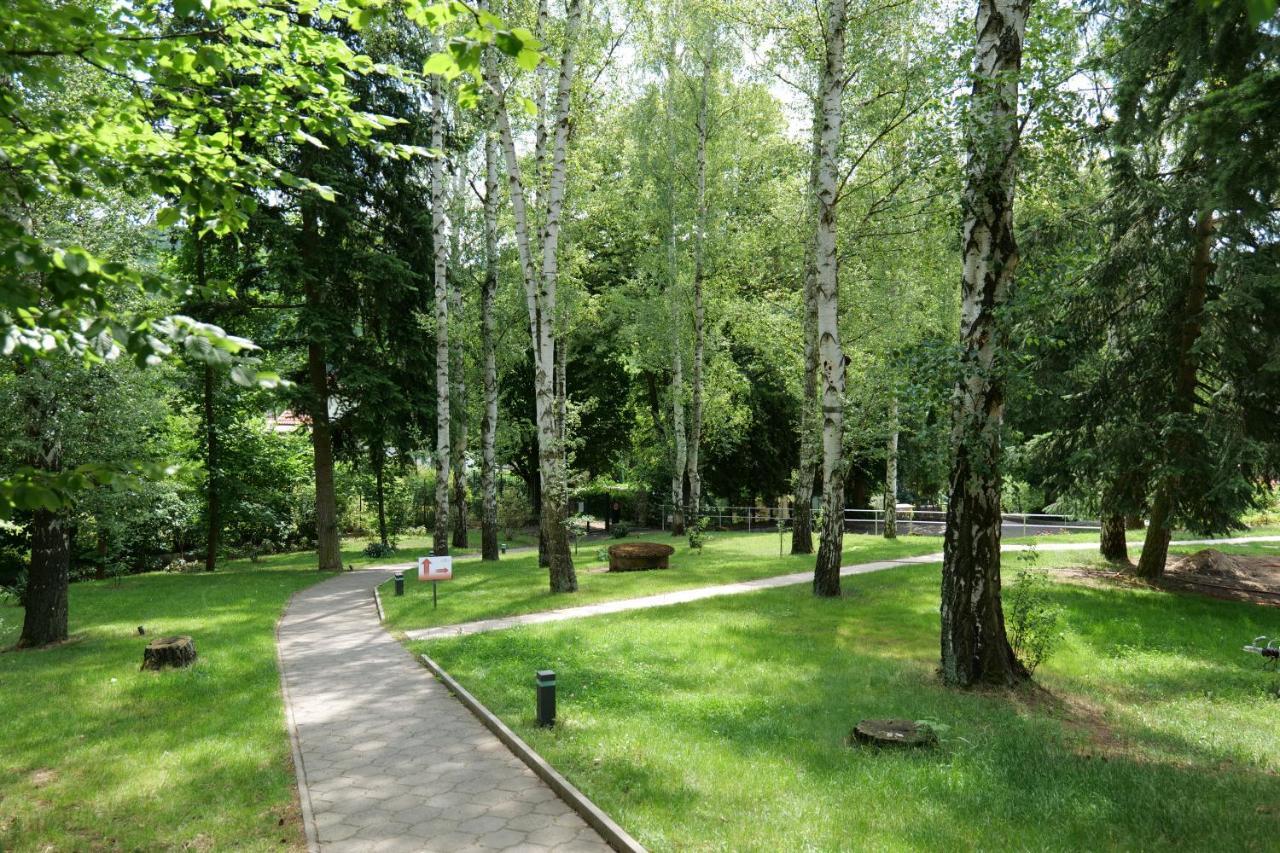 Penzion Harmony Javornik Ctyrkoly Экстерьер фото